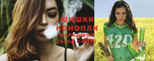 каннабис Бердск