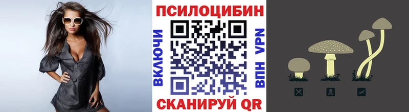 Галлюциногенные грибы GOLDEN TEACHER ОМГ ОМГ сайт Трубчевск